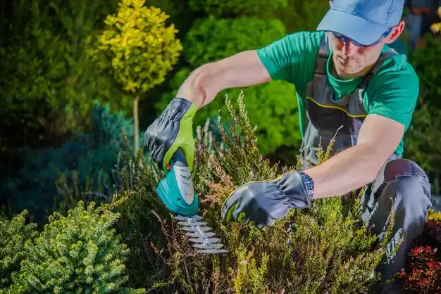 landscaping services Breckenridge Hills